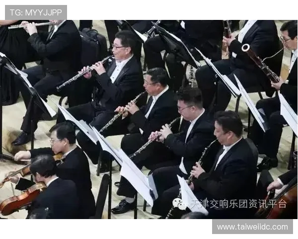 奥地利与俄罗斯足球对决比分分析及精彩回顾